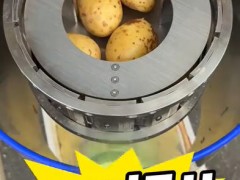 離心式刨絲機，瞬切土豆片，每小時可加工3000kg#食品機械設備